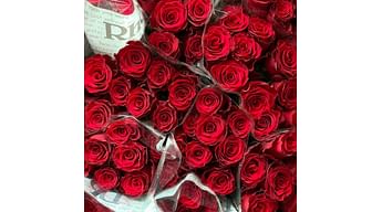 Импортные сорта роз в KVETKASHOP