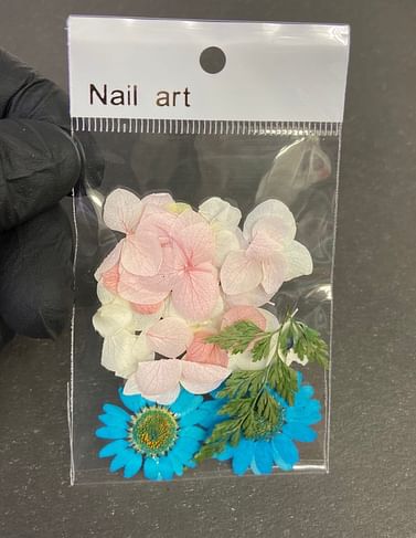 Сухоцветы для дизайна ногтей