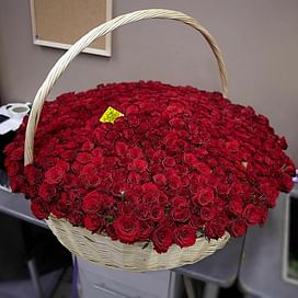 501 роза в корзине Эквадор
