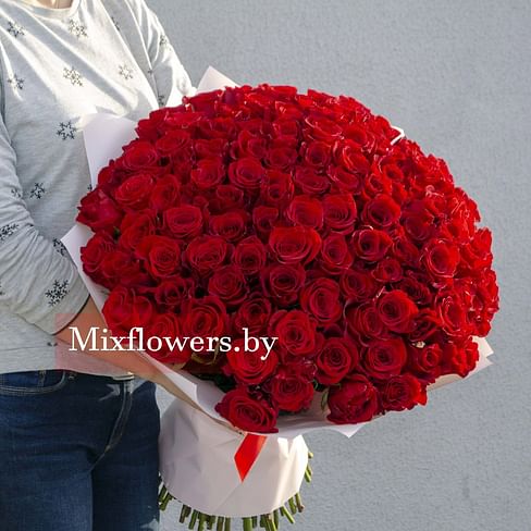 Букет роз "Red" 50 см АКЦИЯ 101 роза Эквадорская роза