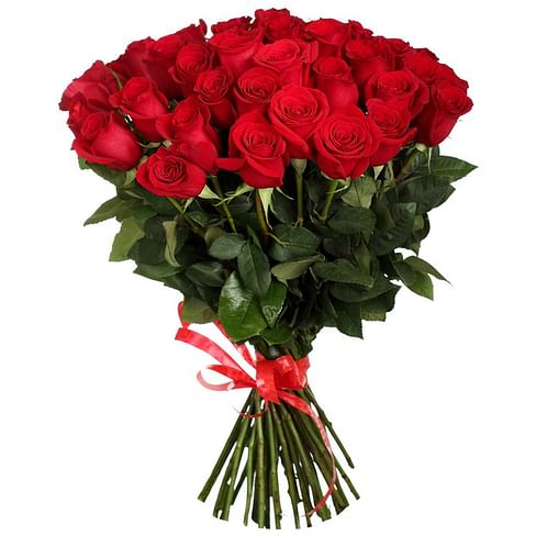 Букет красных роз "Танзания" 70 см 35 роз Эквадорская роза