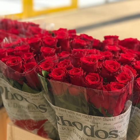 Красная роза Rhodos 1 шт.