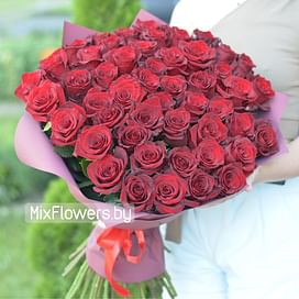 АКЦИЯ - Букет из 51 красной розы 50 см "Эксклюзив" 51 роза Эквадорская роза