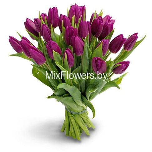 Букет тюльпанов "Фиолетовый"