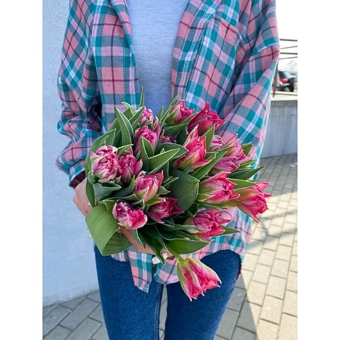 Тюльпан пионовидный розовый (Голландия)