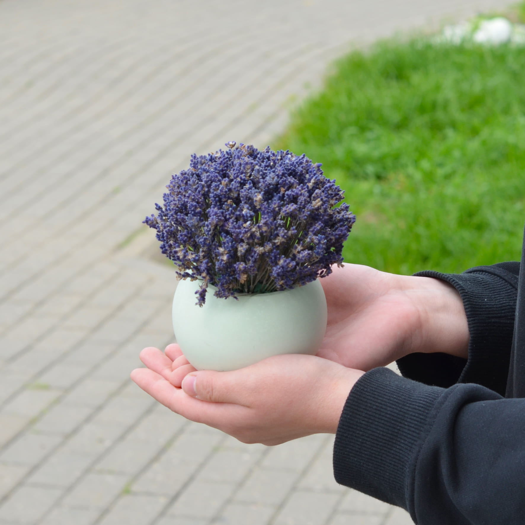 Букет лаванды в керамическом кашпо "Аромат лаванды"