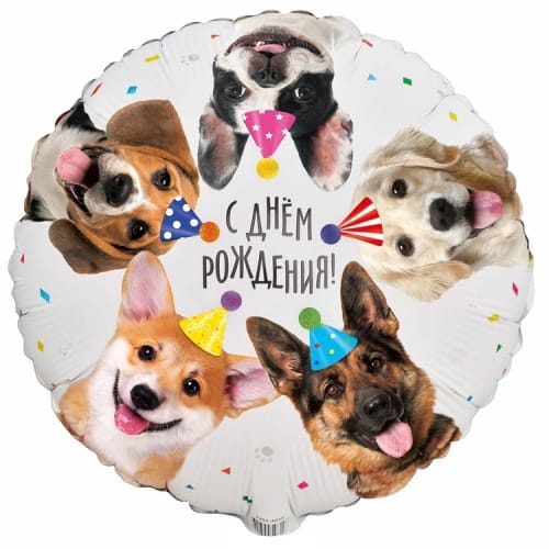 Шар (18''/46 см) Круг, ДР Собачки фотографичные