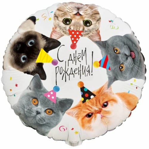 Шар (18''/46 см) Круг, ДР Котики фотографичные