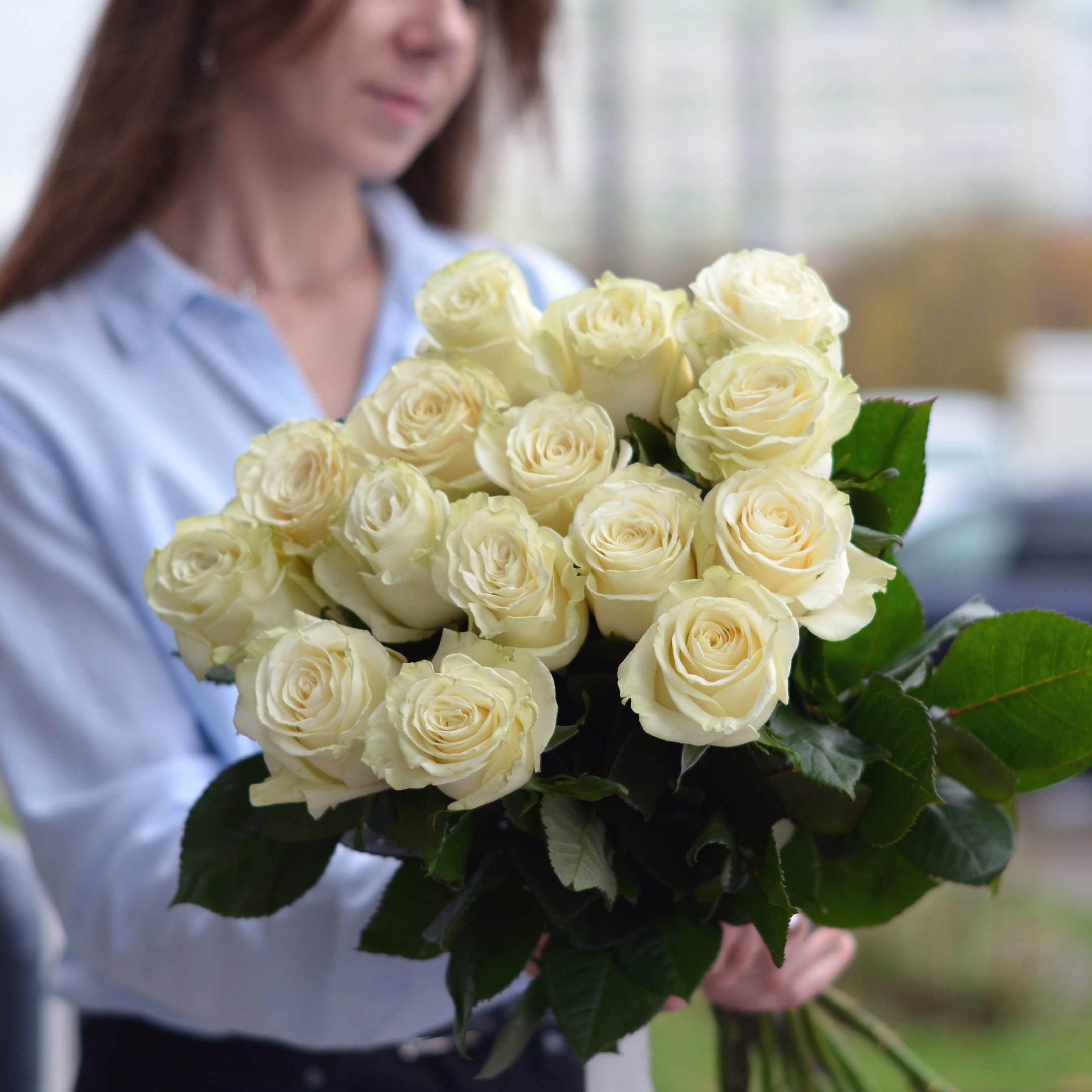 15 роз сорта Mondial 50