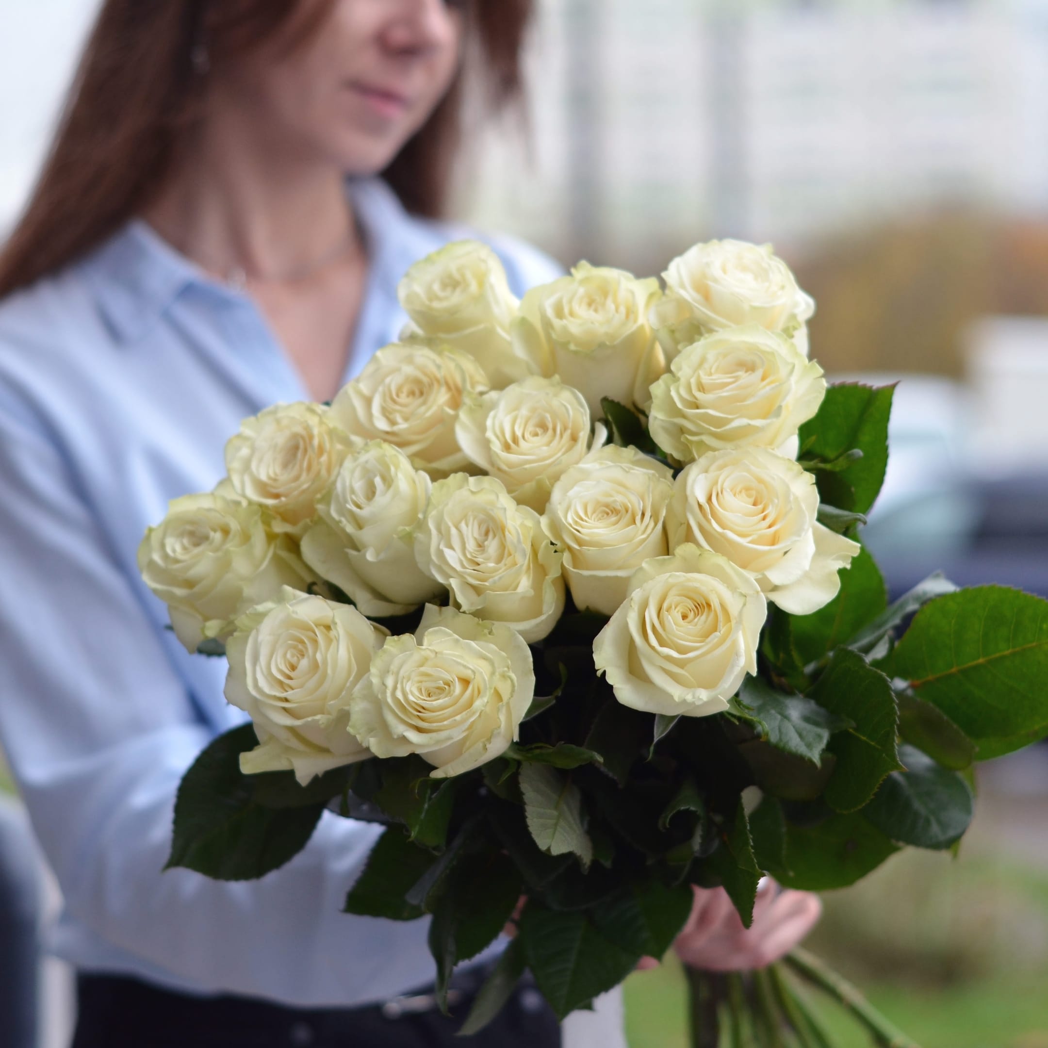 15 роз сорта Mondial 60