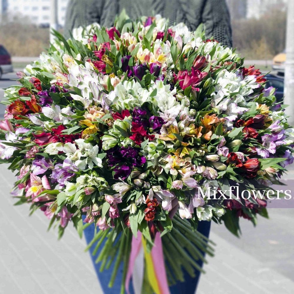 Букет из 101 Альстромерии
