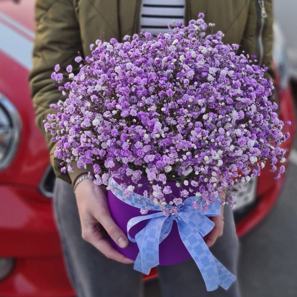 Композиция из 7 веток сиреневой гипсофилы в коробке