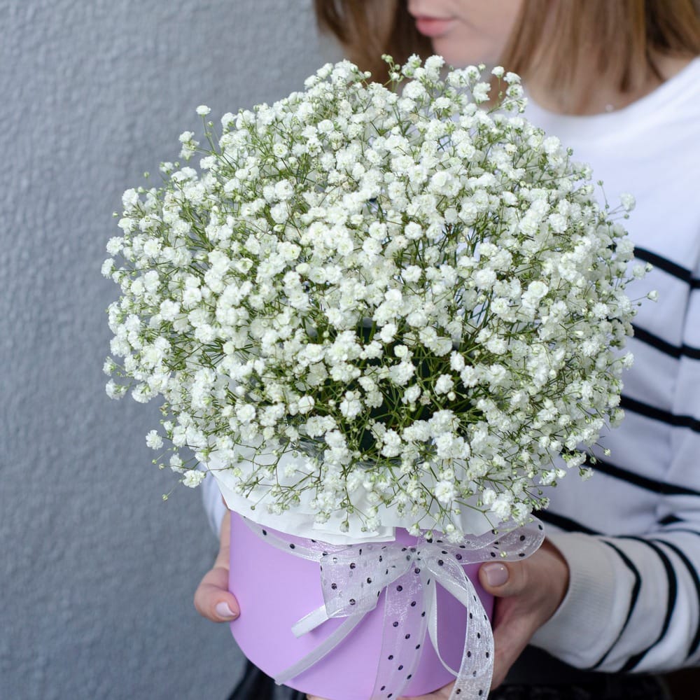 Композиция из белой гипсофилы