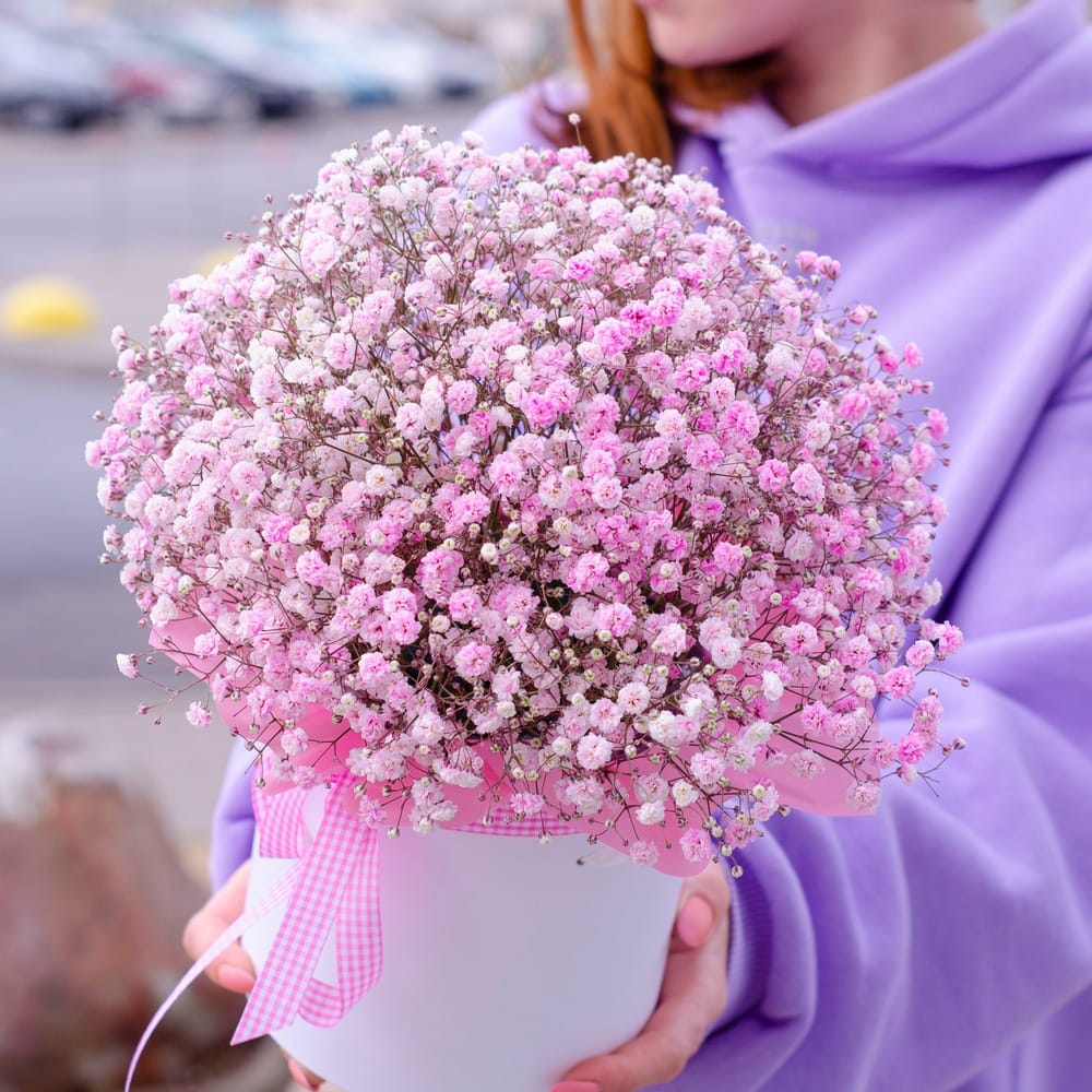 Композиция из Розовой гипсофилы