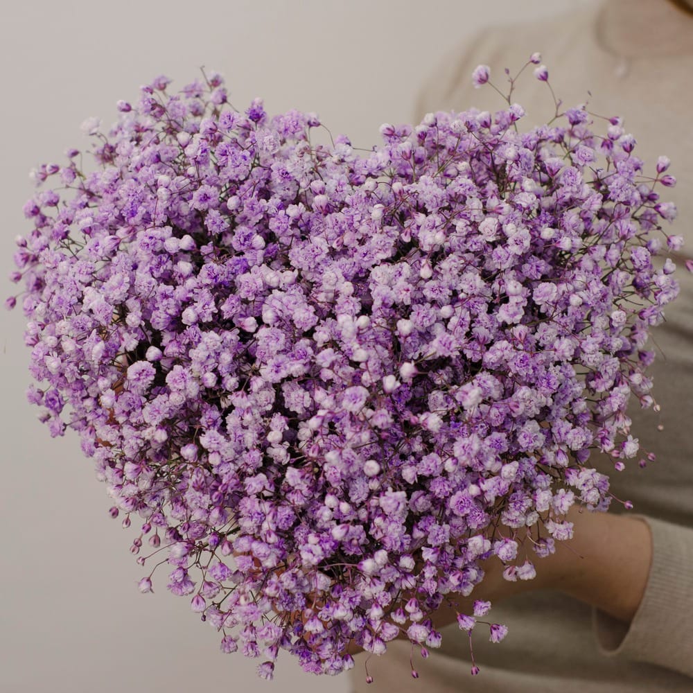 Композиция "Сердце из гипсофилы"