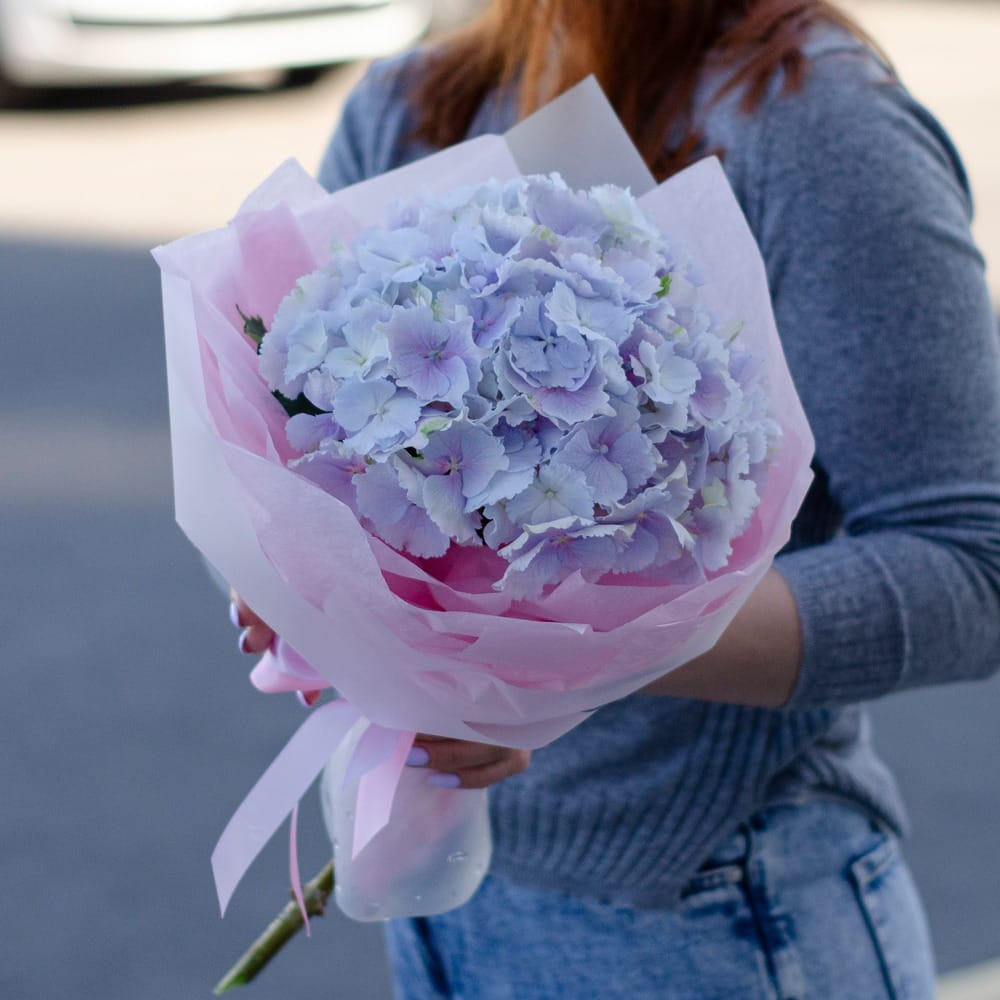 Букет "Гортензия" голубая в упаковке
