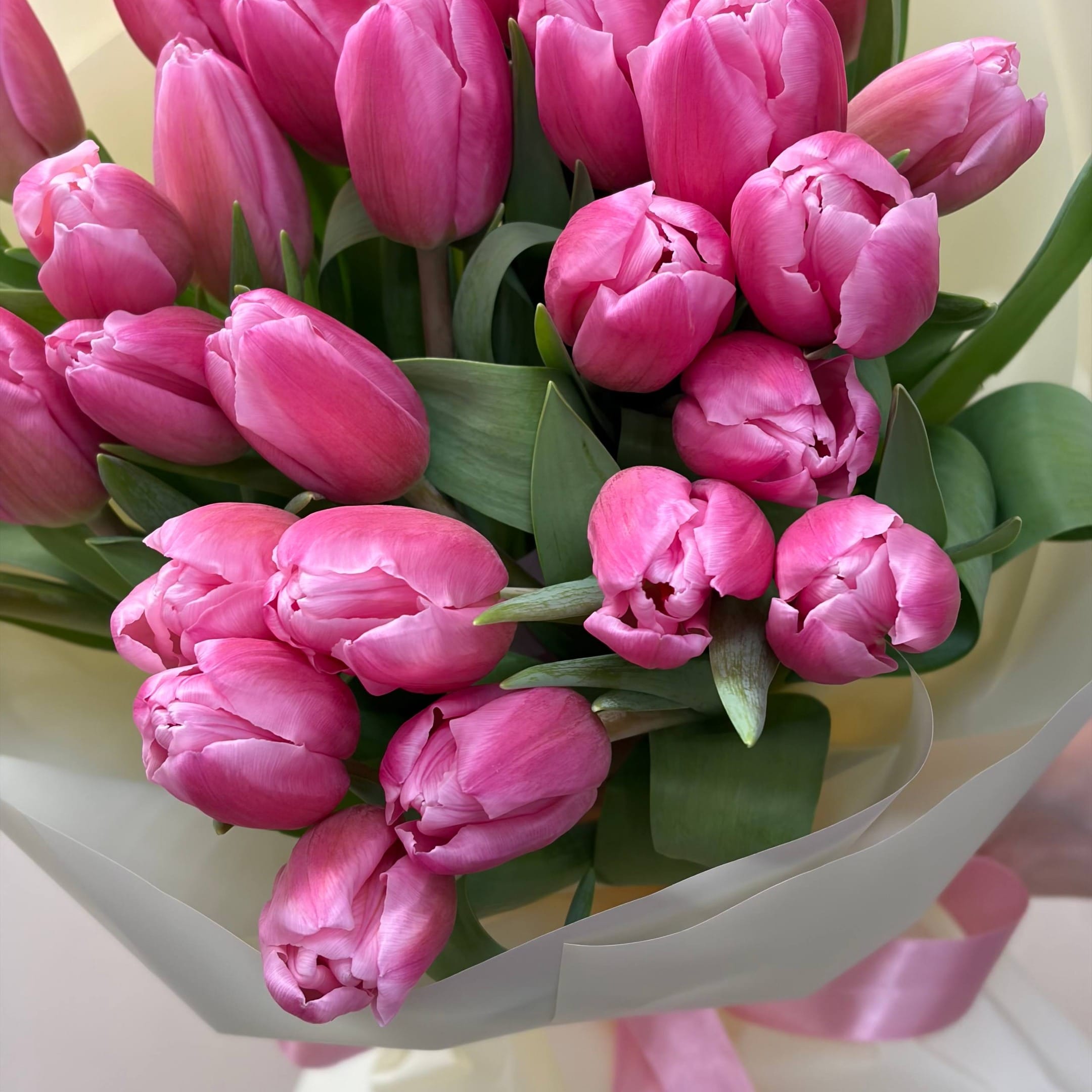 Букет из 31 тюльпана "Розовый огонь"
