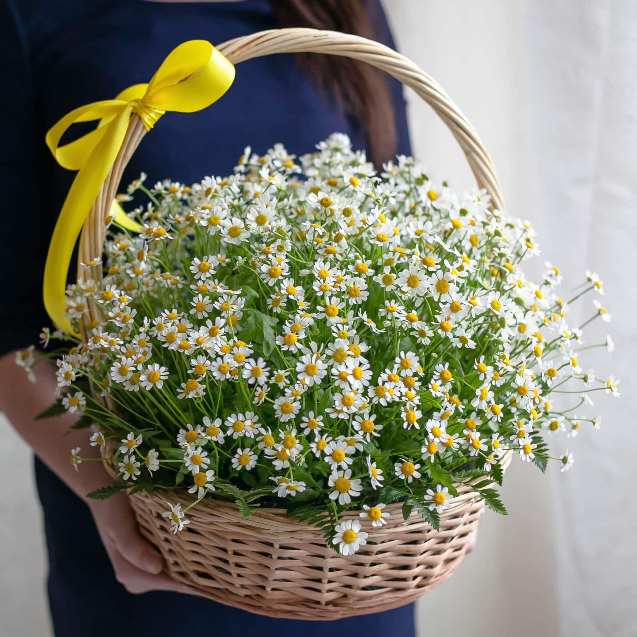 Корзина ромашек "Необыкновенная"