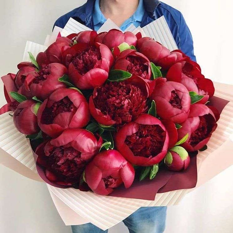Букет из 15 красных пионов "Любовь"