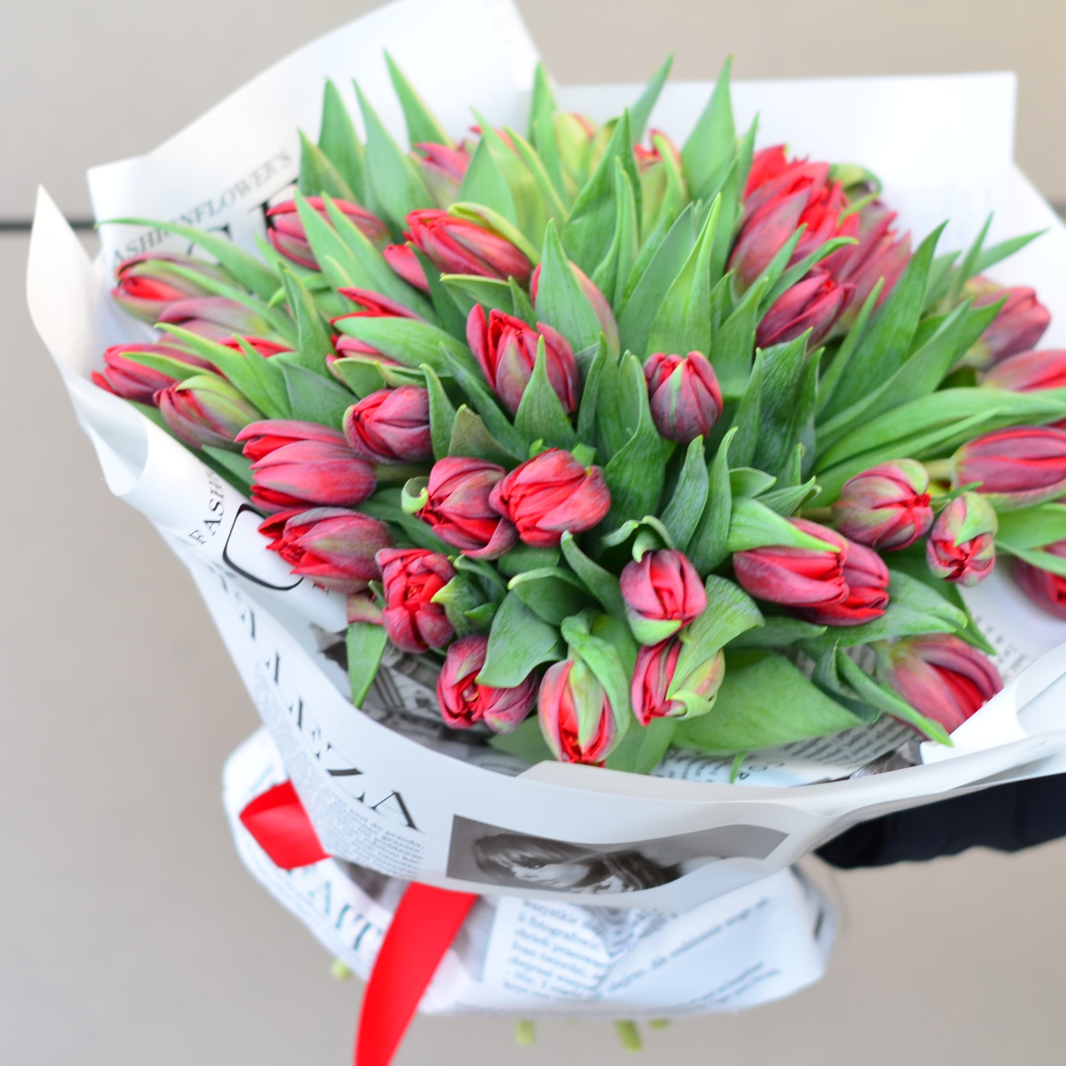 51 пионовидный тюльпан в упаковке "Пурпурный ветер"