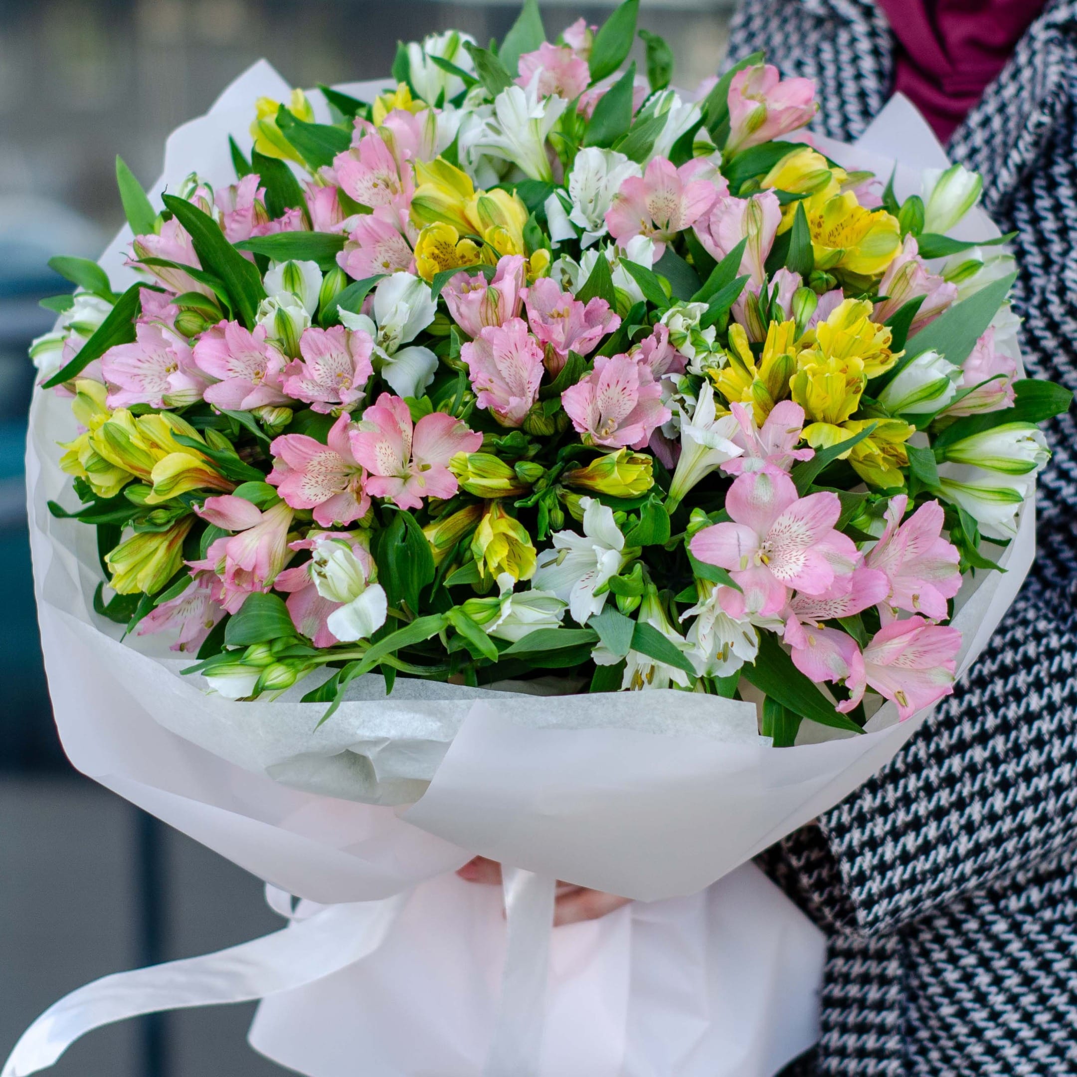 Букет из 25 альтромерий "Шёлковый шёпот"