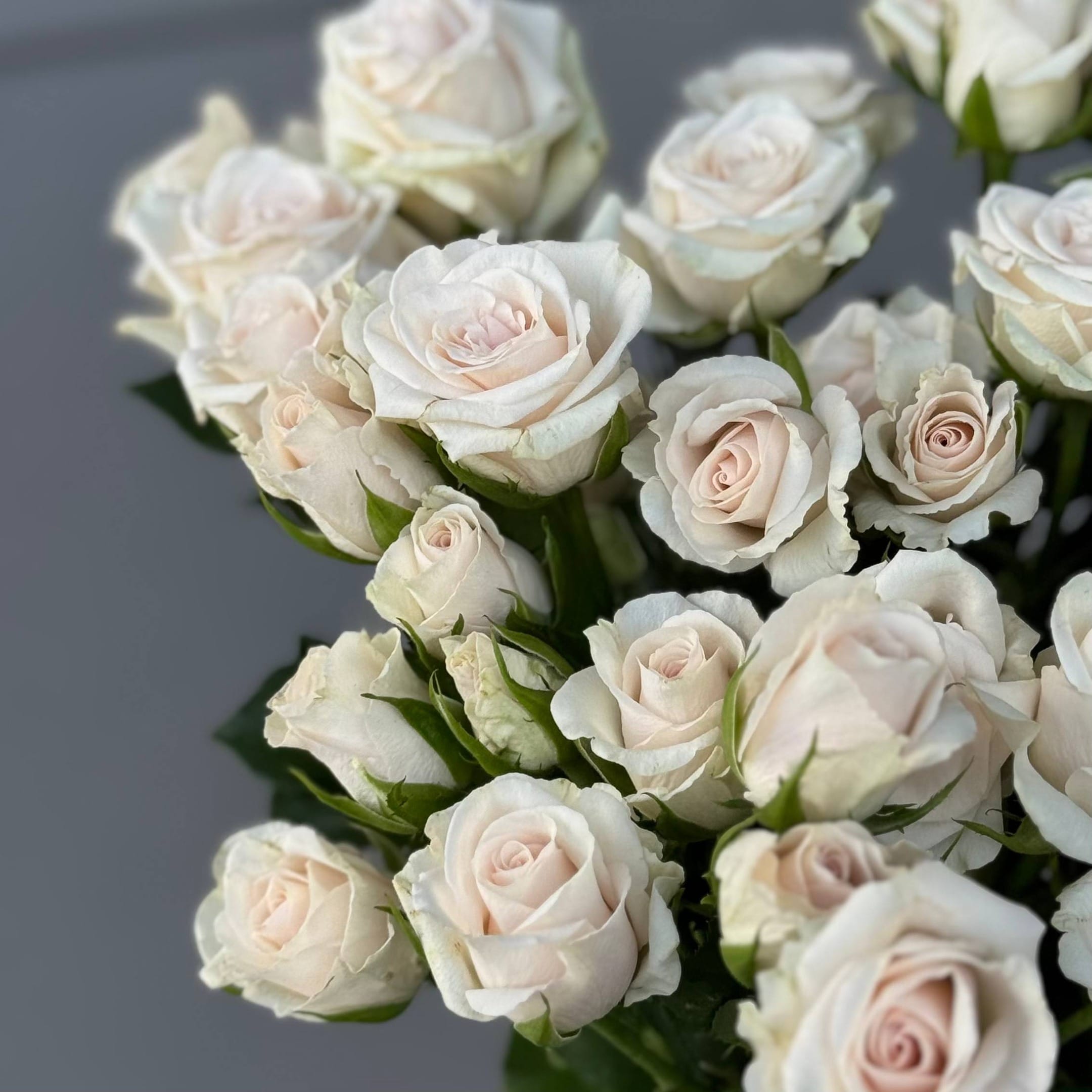 Букет кустовых роз "Жемчуг"