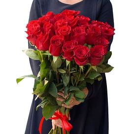 Букет красных роз "Ласка" 25 роз Эквадорские розы