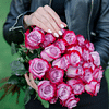 Букет "Глубина" 25 роз Эквадорские розы