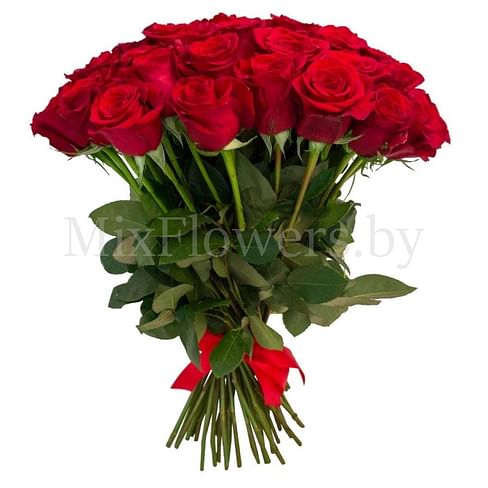 Букет роз "Бархат" 31 роза