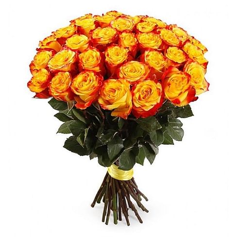 Букет роз "Магия" 31 роза Эквадорская роза