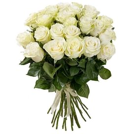 35 белых роз сорта Mondial 35 роз Эквадорская роза