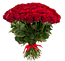 Букет роз "Большая звезда" 75 роз Эквадорская роза