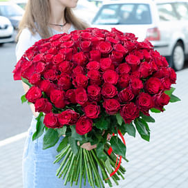 Букет из 101 розы "Страстный" 50 см 101 роза Кенийская роза