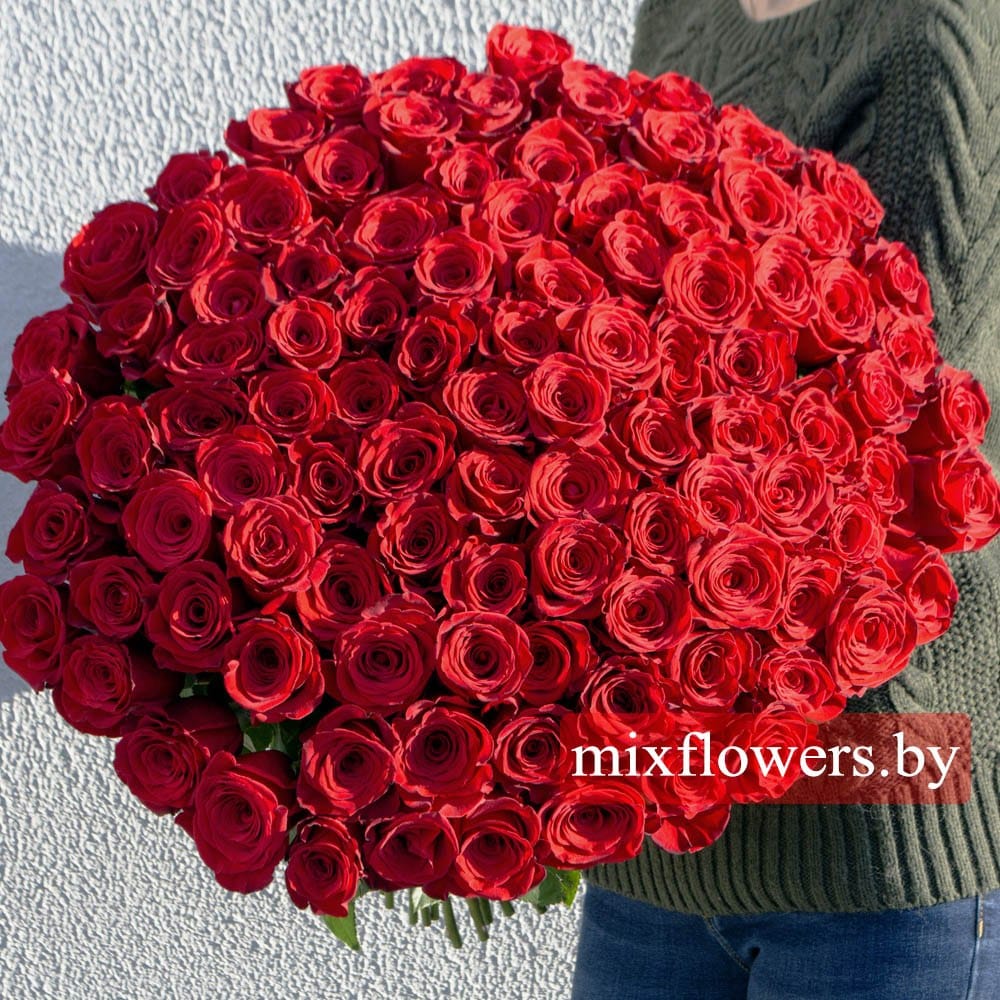 Букет из 101 розы "Шик" 101 роза Эквадорские розы