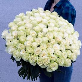 Букет роз "Белый" 101 роза Эквадорские розы