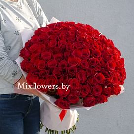 Букет роз "Алый" 101 роза Эквадорские розы