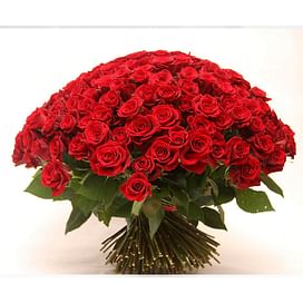 Букет роз "Максимум счастья" 151 роза Эквадорская роза