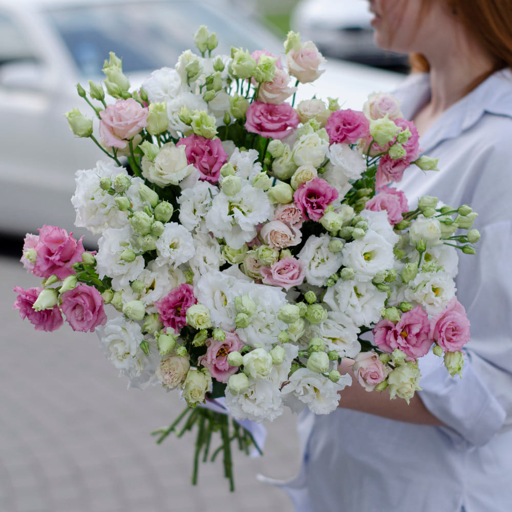 25 бело-розовых эустом