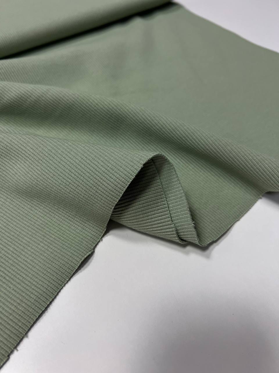 Кашкорсе, Оливка