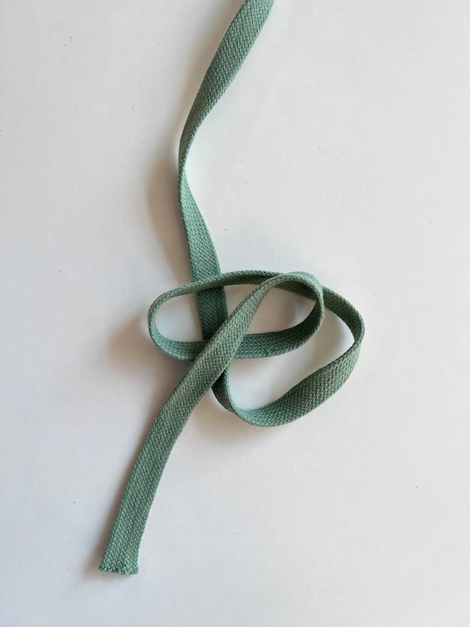 Шнур Плоский, Полынь