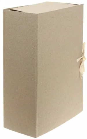 Папка ДЕЛО с 4-мя завязками архивная, корешок 10 см, плотность 0,7 Цена с НДС