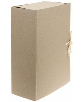 Папка ДЕЛО с 4-мя завязками архивная, корешок 10 см, плотность 0,7 Цена с НДС