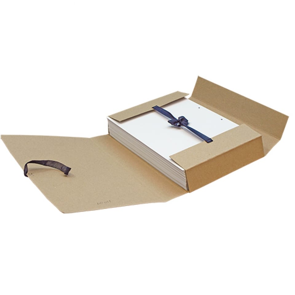 Папка ДЕЛО с 4-мя завязками архивная, корешок 9 см, плотность 0,7 ПОЛИГРАФКОМПОНЕНТ Цена с НДС за 1 штуку