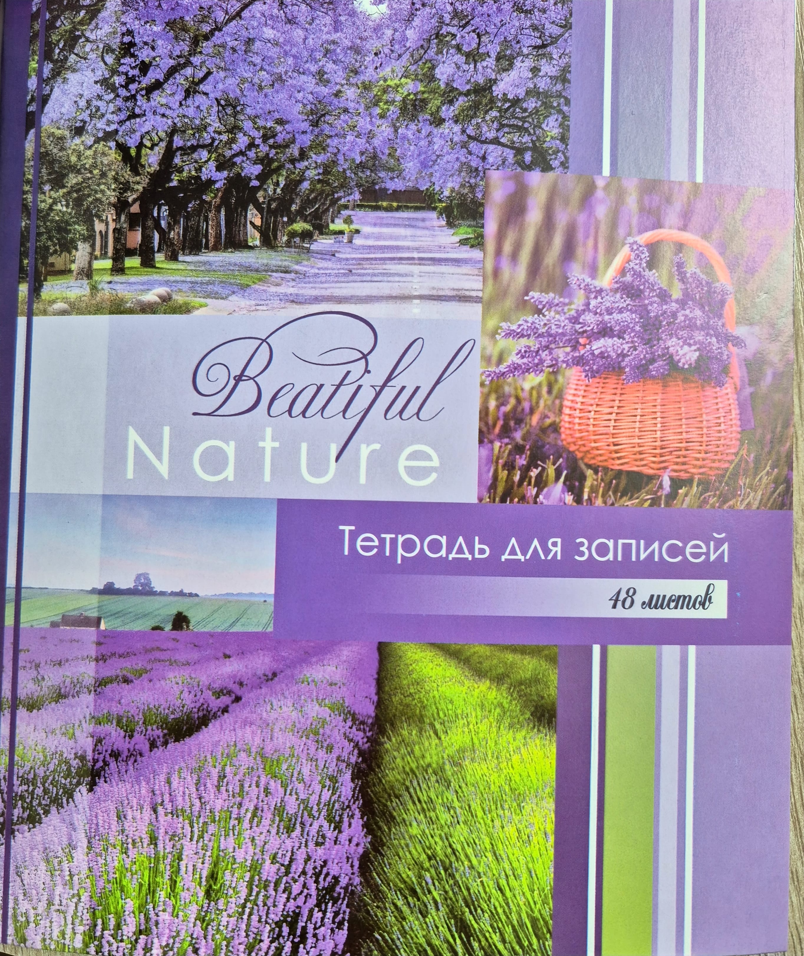 Тетрадь А5 формат 48 листов КЛЕТКА, арт 24С702 Победа Цена с НДС за 1 штуку