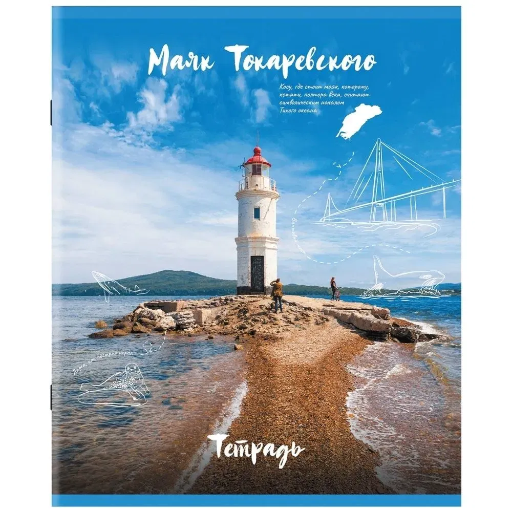 Тетрадь А5, 96 л., STAFF, скоба, клетка, офсет №2 ЭКОНОМ, обложка картон, "Природа" (микс в спайке), 404441 STAFF Цена с НДС за 1 штуку