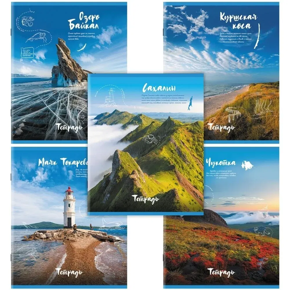 Тетрадь А5, 96 л., STAFF, скоба, клетка, офсет №2 ЭКОНОМ, обложка картон, "Природа" (микс в спайке), 404441 STAFF Цена с НДС за 1 штуку