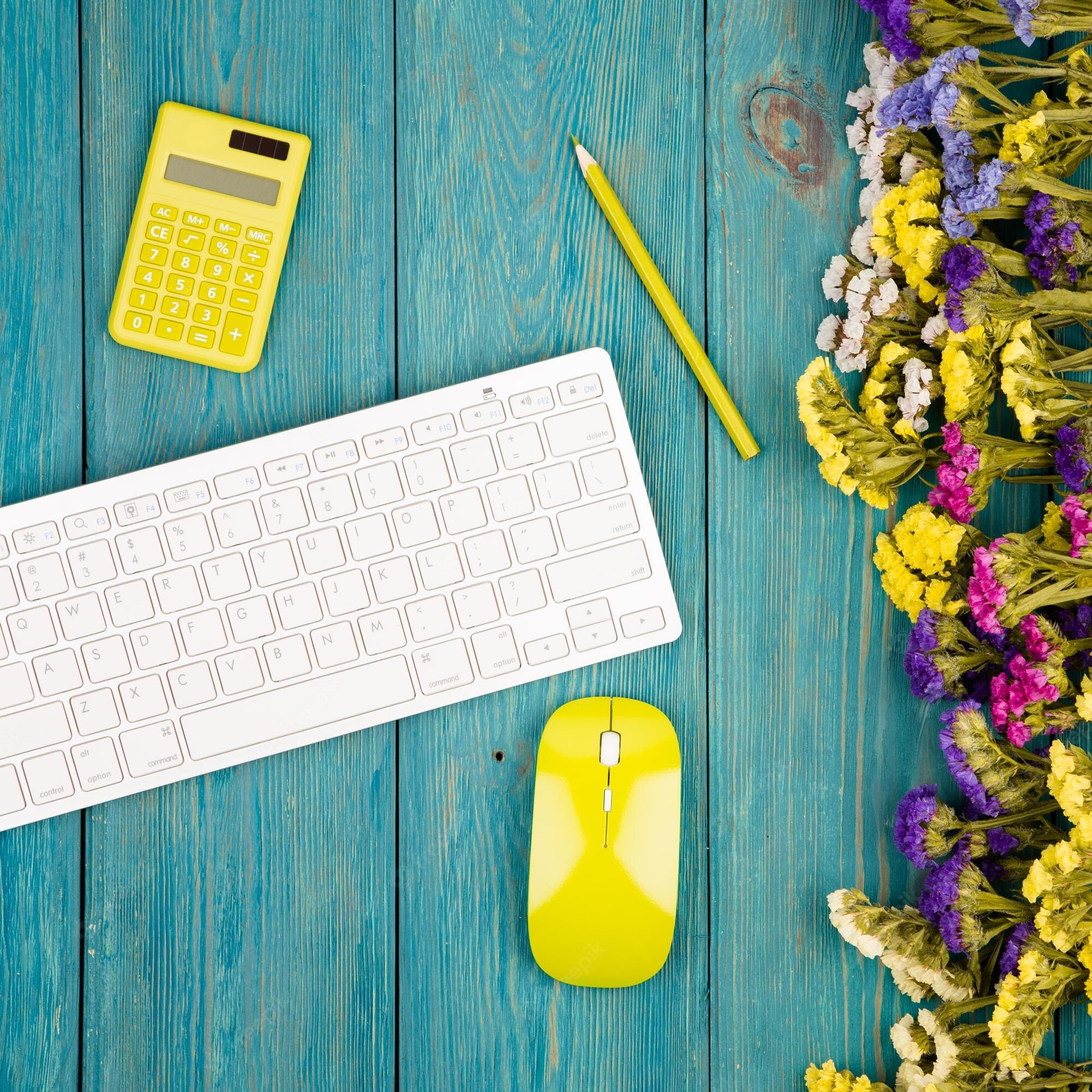 Калькуляторы, мышки, клавиатуры, носители информации, батарейки