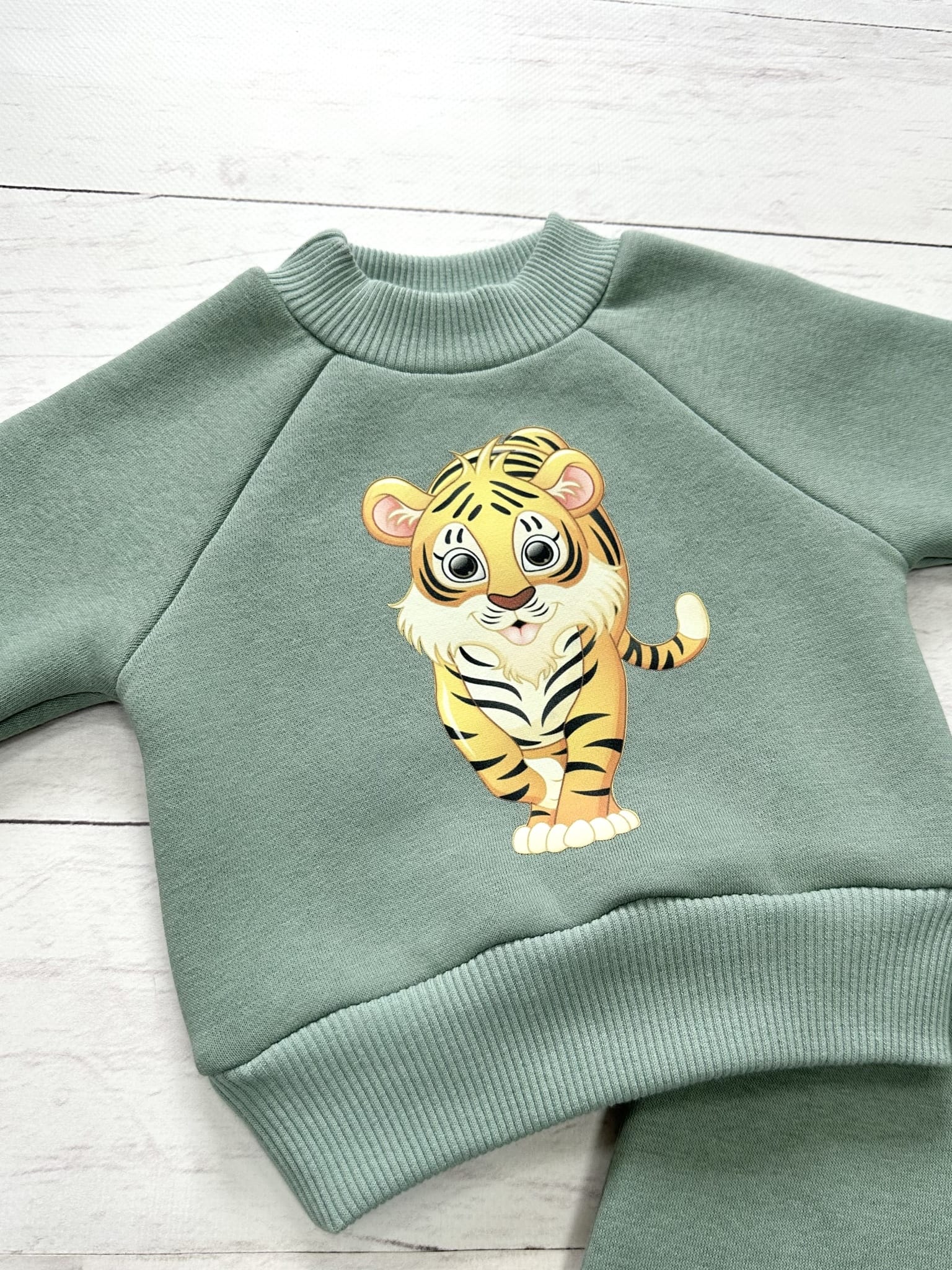 Костюм (джемпер, штанишки)