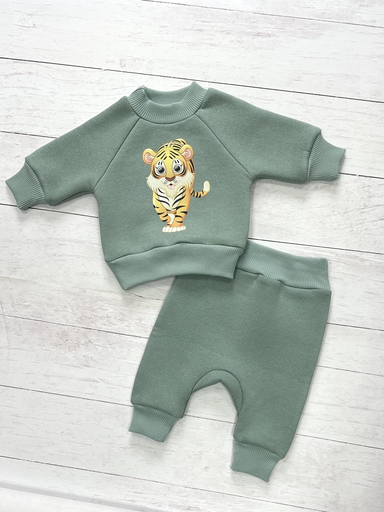 Костюм (джемпер, штанишки)