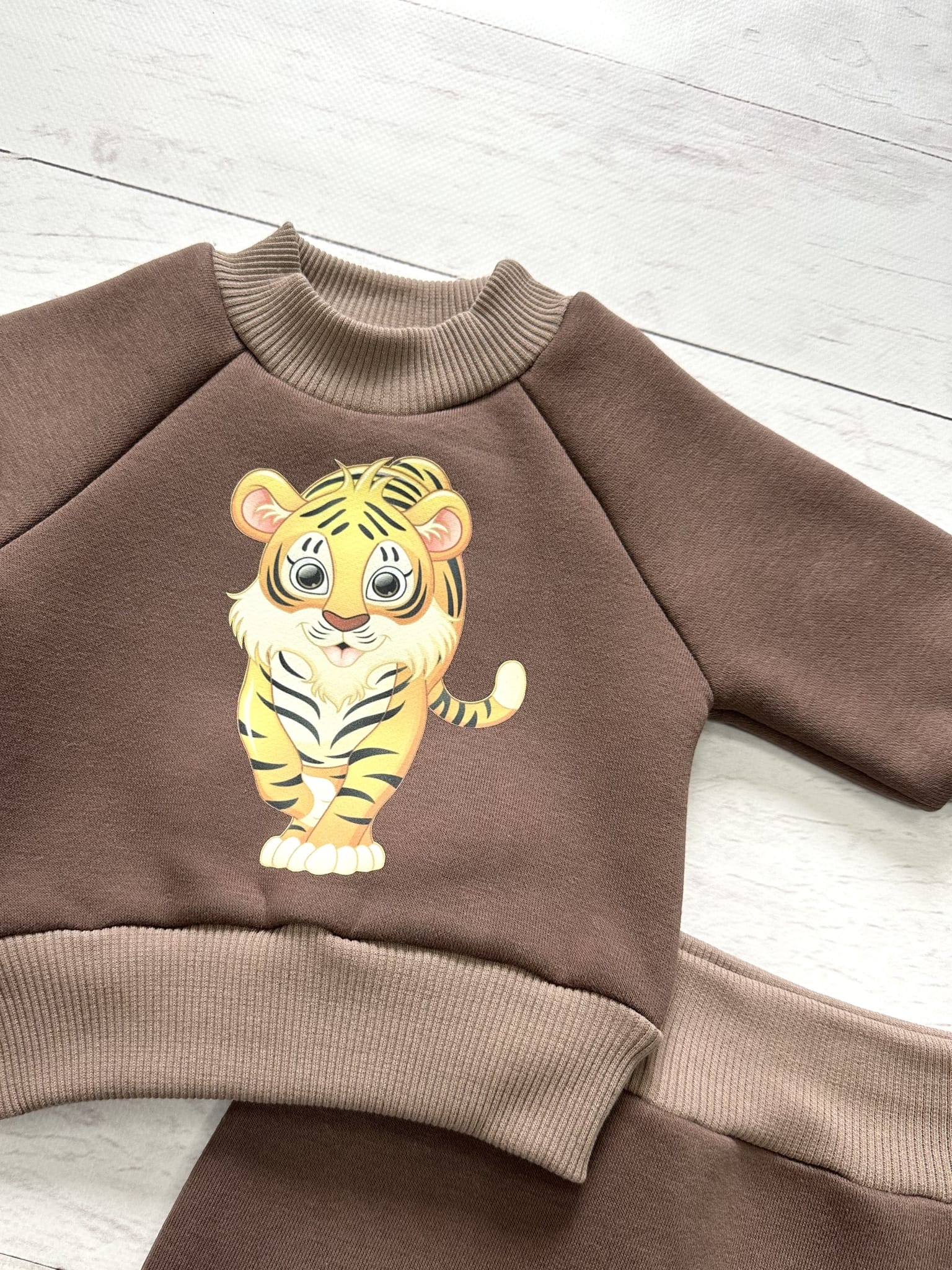 Костюм (джемпер, штанишки)